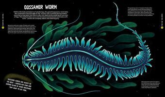 Produktbild: University of Cambridge: Beasts from the Deep