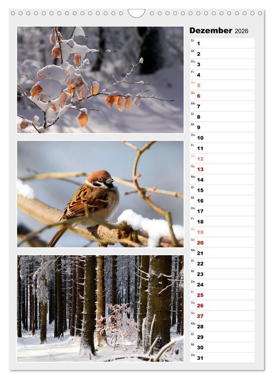Produktbild: Zauberhafte Farben der Natur (Wandkalender 2026 DIN A3 hoch), CALVENDO Monatskalender