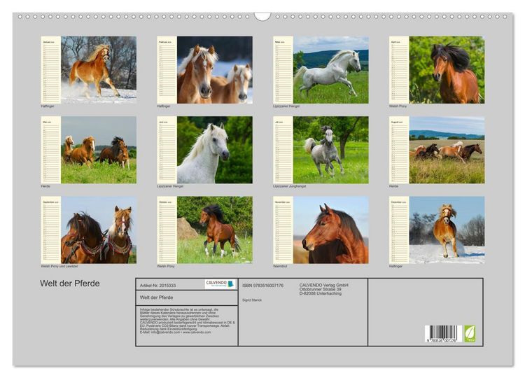 Produktbild: Welt der Pferde (Wandkalender 2026 DIN A2 quer), CALVENDO Monatskalender