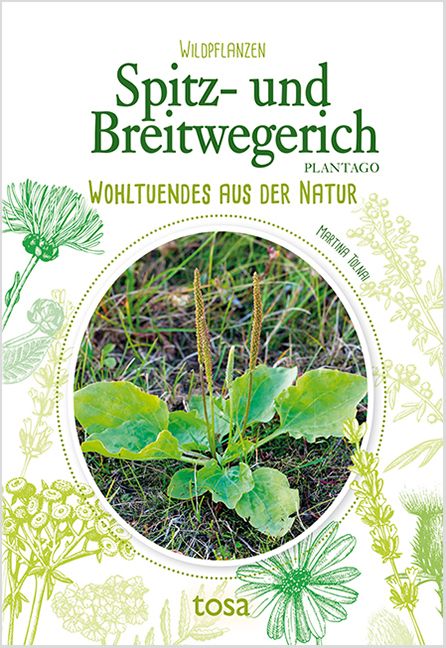 Produktbild: Spitz- und Breitwegerich