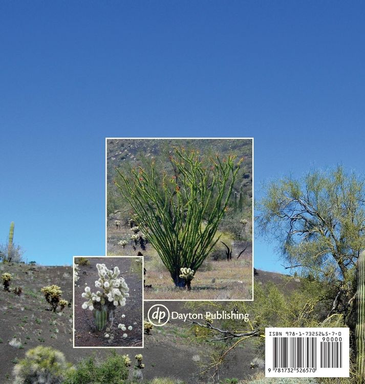 Produktbild: Rabbits and Rats, Birds and Seeds, Cactus and Trees