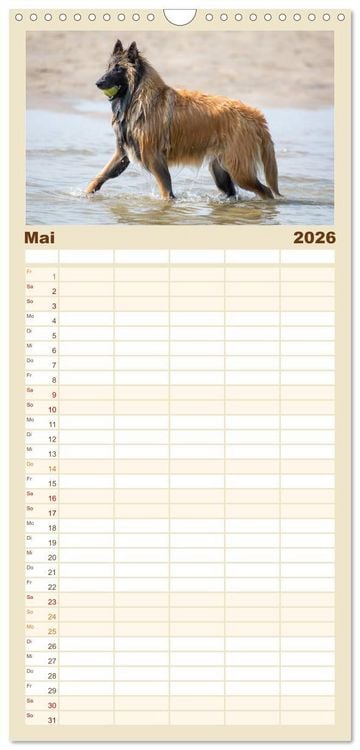 Produktbild: Familienplaner 2026 - Freunde auf vier Pfoten am Strand mit 5 Spalten (Wandkalender, 21 x 45 cm) CALVENDO