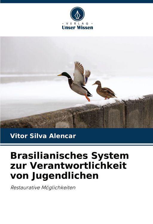 Produktbild: Brasilianisches System zur Verantwortlichkeit von Jugendlichen