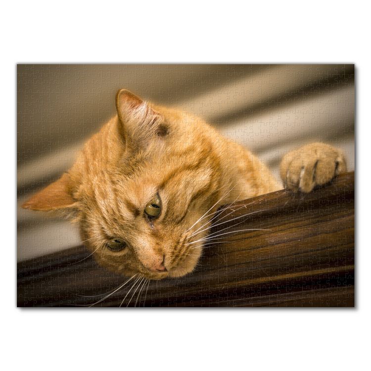 Produktbild: Lais Puzzle Katze 1000 Teile