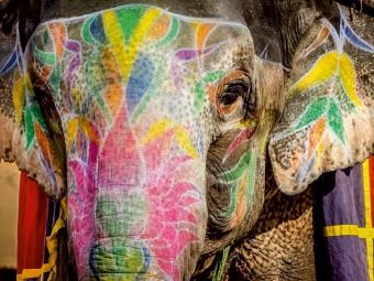 Produktbild: CALVENDO Puzzle Reitelefant Amber Fort 1000 Teile Puzzle quer | 1000 Teile Lege-Gr&ouml;&szlig;e 64 &times; 48 cm Foto-Puzzle f&uuml;r gl&uuml;ckliche Stunden