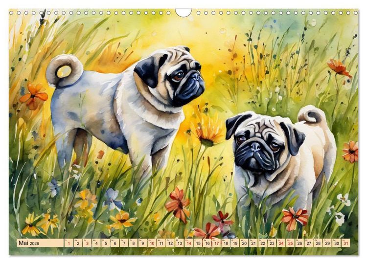 Produktbild: Knuffige M&ouml;pse (Wandkalender 2026 DIN A3 quer), CALVENDO Monatskalender