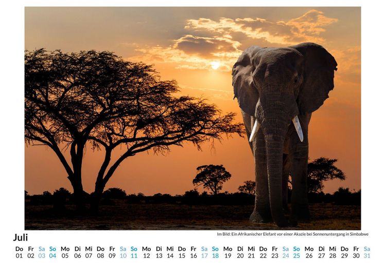 Produktbild: Botswana