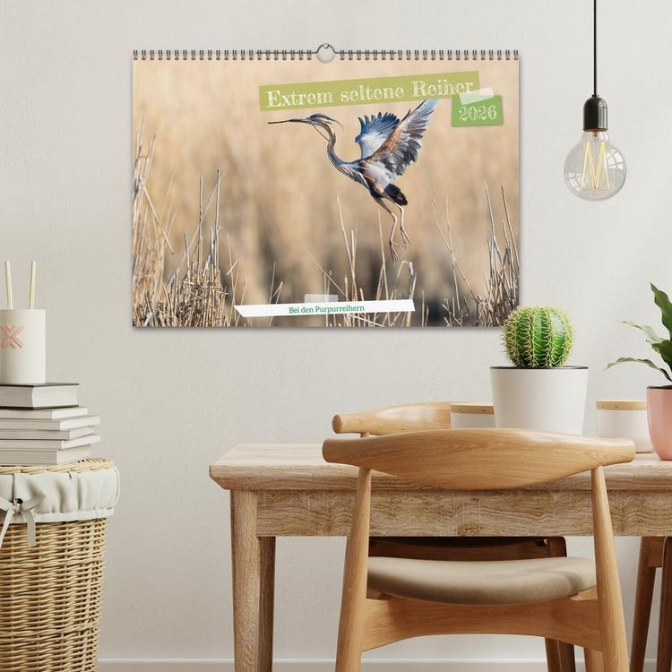 Produktbild: Extrem seltene Reiher (Wandkalender 2026 DIN A3 quer), CALVENDO Monatskalender