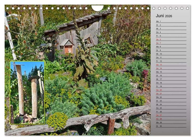 Produktbild: Bl&uuml;hende Gartenparks in Mannheim (Wandkalender 2026 DIN A4 quer), CALVENDO Monatskalender