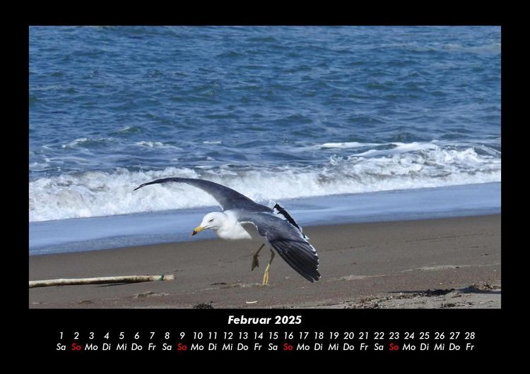 Produktbild: Meereslandschaft 2025 Fotokalender DIN A3