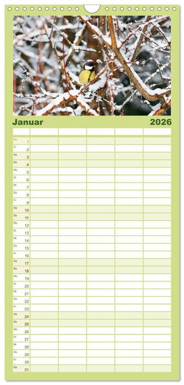 Produktbild: Familienplaner 2026 - Sanfte Natur mit 5 Spalten (Wandkalender, 21 x 45 cm) CALVENDO