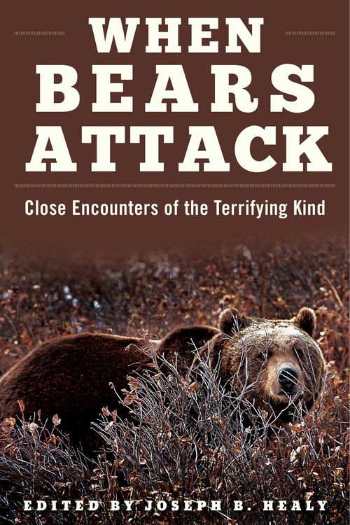 Produktbild: When Bears Attack