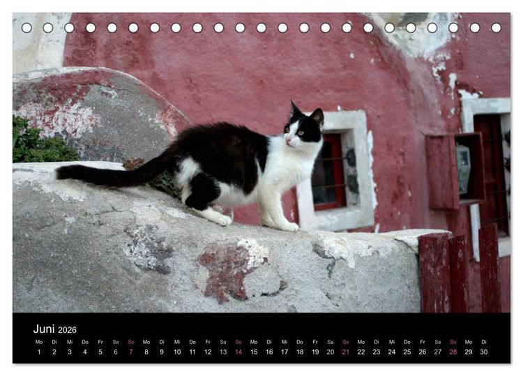 Produktbild: Katzensprung (Tischkalender 2026 DIN A5 quer), CALVENDO Monatskalender