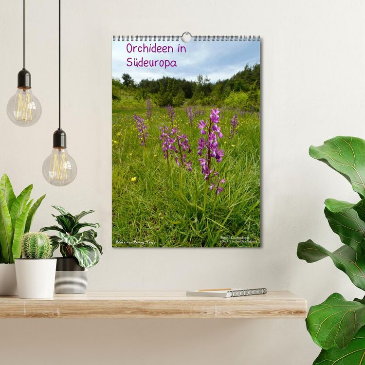 Produktbild: Orchideen in S&uuml;deuropa (Wandkalender 2026 DIN A3 hoch), CALVENDO Monatskalender