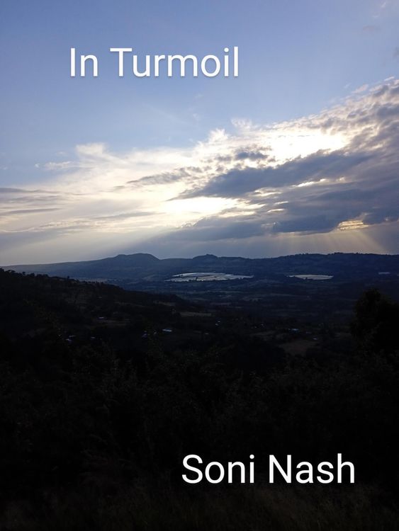 Produktbild: In Turmoil