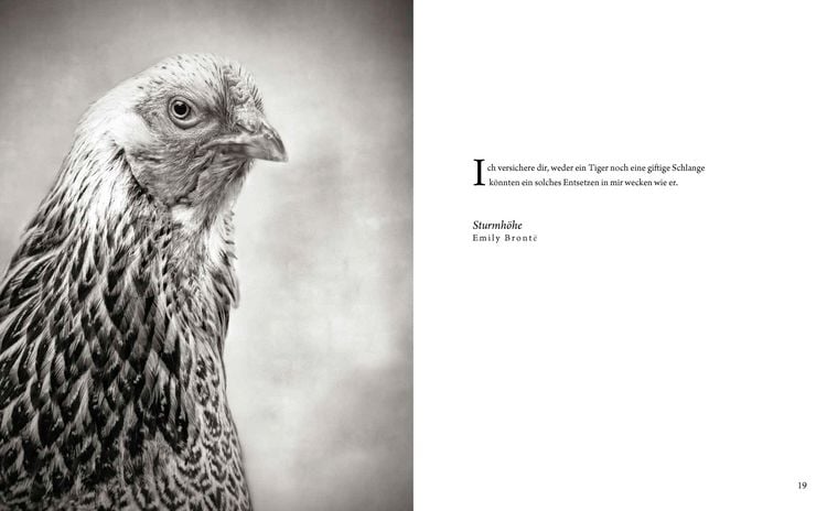 Produktbild: Literarische H&uuml;hner