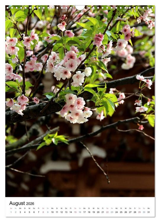 Produktbild: Japan - Kirschbl&uuml;ten (Wandkalender 2026 DIN A3 hoch), CALVENDO Monatskalender