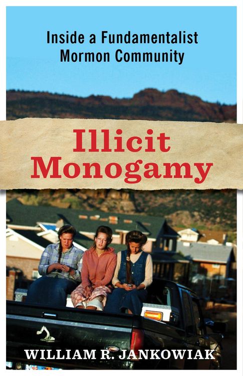 Produktbild: Illicit Monogamy