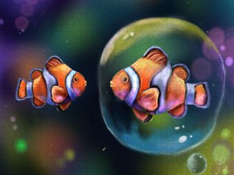 Produktbild: CALVENDO Puzzle Fische | 2000 Teile Lege-Gr&ouml;&szlig;e 90x67cm Foto-Puzzle f&uuml;r gl&uuml;ckliche Stunden