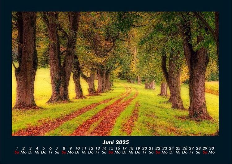 Produktbild: Bilder der Natur 2025 Fotokalender DIN A4