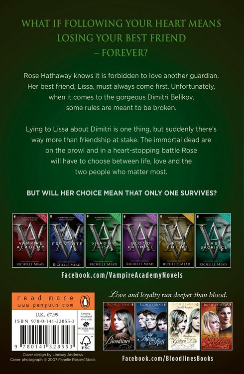 Produktbild: Vampire Academy: Shadow Kiss (book 3)