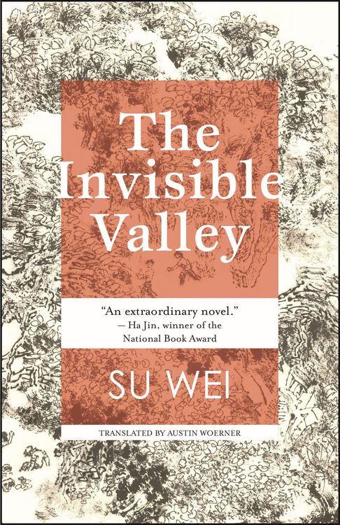 Produktbild: The Invisible Valley