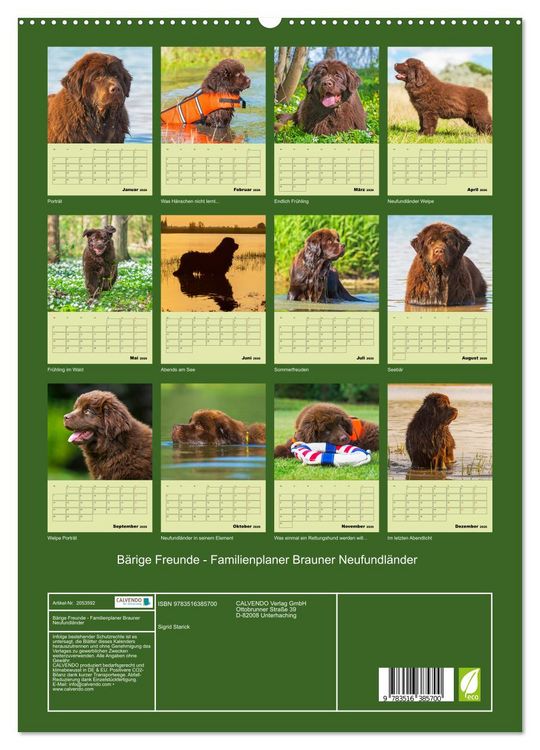 Produktbild: B&auml;rige Freunde - Familienplaner Brauner Neufundl&auml;nder (hochwertiger Premium Wandkalender 2026 DIN A2 hoch), Kunstdruck in Hochglanz