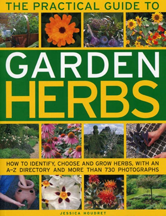 Produktbild: Practical Guide to Garden Herbs