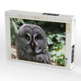 Produktbild: CALVENDO Puzzle Ein Motiv aus dem Kalender Eulen und K&auml;uze | 1000 Teile Lege-Gr&ouml;&szlig;e 64x48cm Foto-Puzzle f&uuml;r gl&uuml;ckliche Stunden