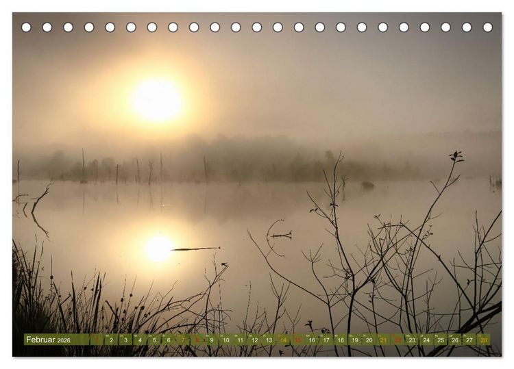 Produktbild: Das Regenmoor auf der Baar (Tischkalender 2026 DIN A5 quer), CALVENDO Monatskalender