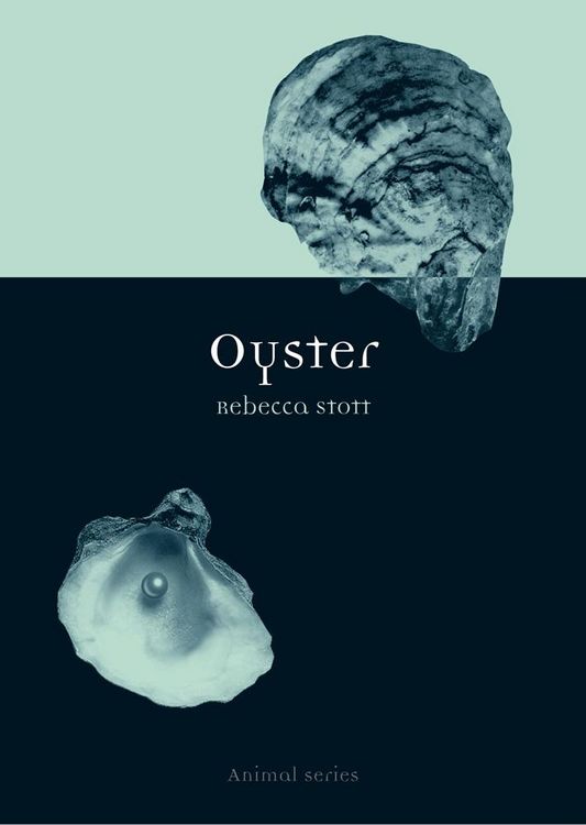 Produktbild: Oyster
