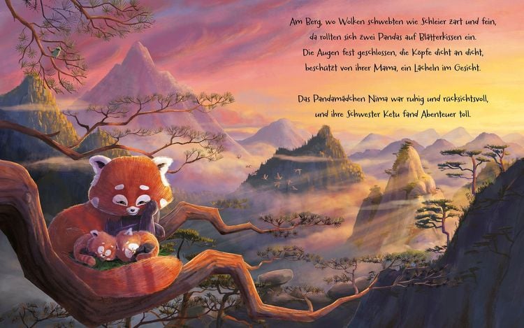 Produktbild: Kleine Pandas, gro&szlig;es Versprechen