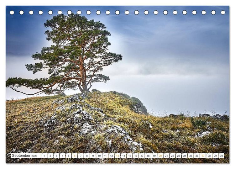 Produktbild: B&auml;ume im Altm&uuml;hltal (Tischkalender 2026 DIN A5 quer), CALVENDO Monatskalender