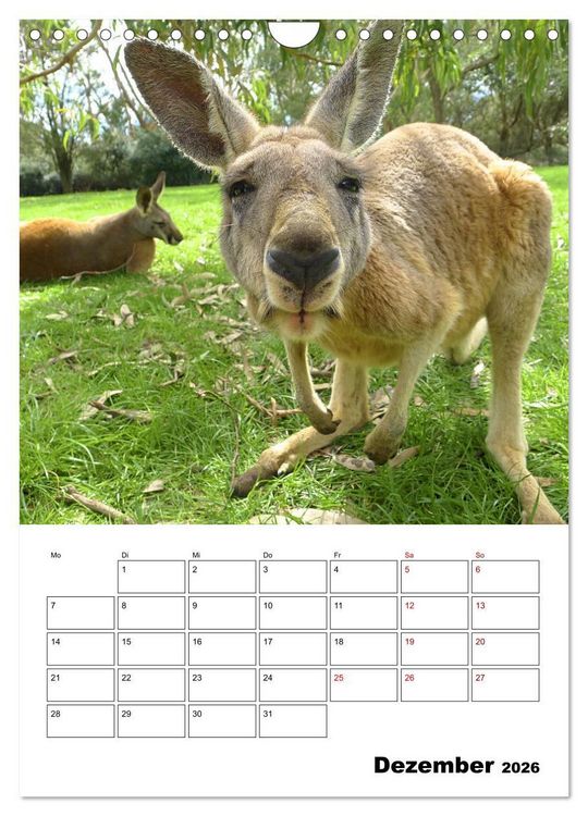 Produktbild: Australiens faszinierende Tierwelt (Wandkalender 2026 DIN A4 hoch), CALVENDO Monatskalender