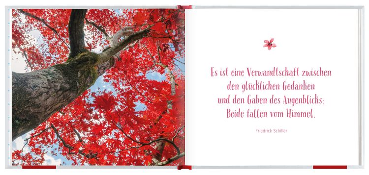 Produktbild: Gute Gedanken f&uuml;r jeden Tag