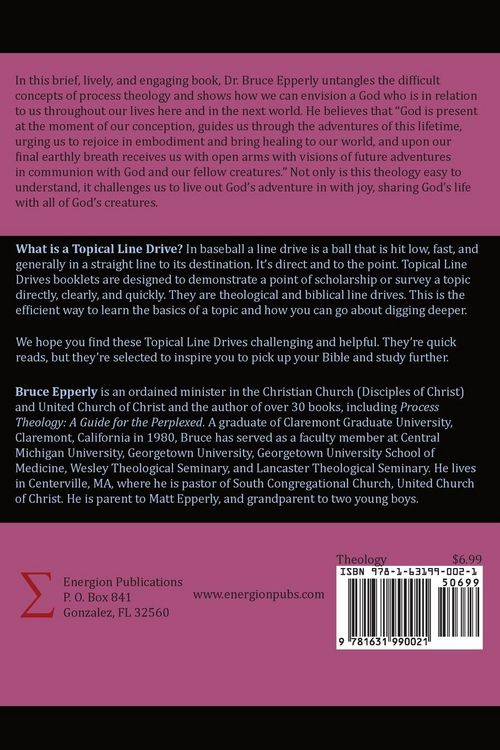 Produktbild: Process Theology
