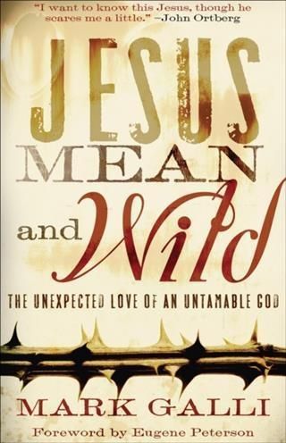 Produktbild: Jesus Mean and Wild