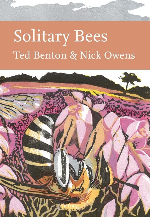 Produktbild: SOLITARY BEES_NN LIB146 HB