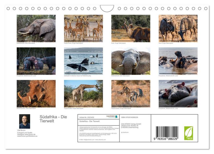 Produktbild: S&uuml;dafrika - Die Tierwelt (Wandkalender 2026 DIN A4 quer), CALVENDO Monatskalender