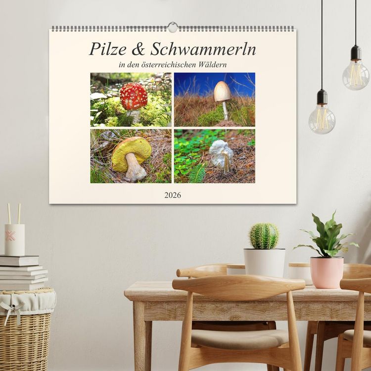 Produktbild: Pilze & Schwammerln (Wandkalender 2026 DIN A2 quer), CALVENDO Monatskalender