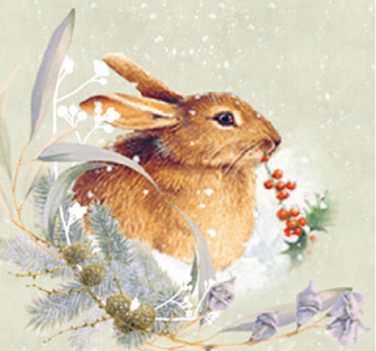 Produktbild: Marjoleins Rotkehlchen, A4 Wand-Adventskalender (Bastin)