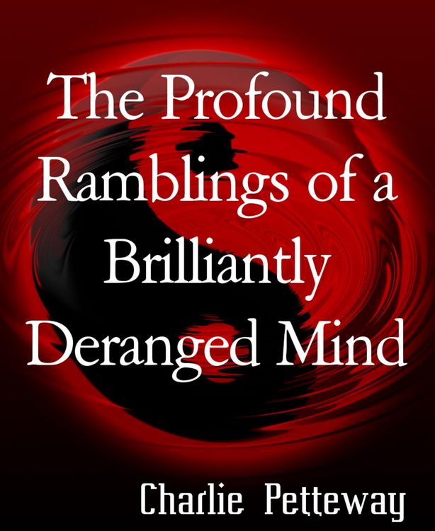 Produktbild: The Profound Ramblings of a Brilliantly Deranged Mind