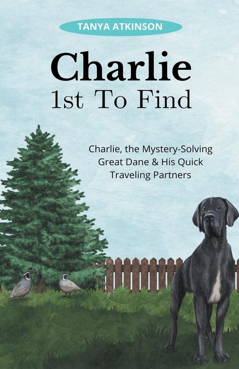 Produktbild: Charlie 1st To Find