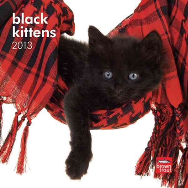 Produktbild: Black Kittens 2013 Calendar