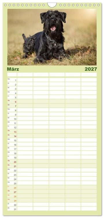 Produktbild: Familienplaner 2027 - Mit dem Riesenschnauzer durch das Jahr mit 5 Spalten (Wandkalender, 21 x 45 cm) CALVENDO