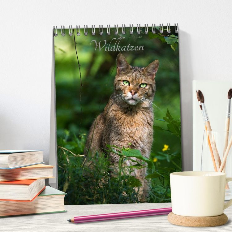 Produktbild: Wildkatzen - scheue J&auml;ger (Tischkalender 2026 DIN A5 hoch), CALVENDO Monatskalender