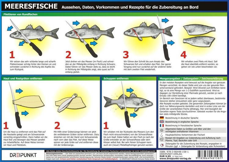 Produktbild: Info-Tafel-Set Meeresfische