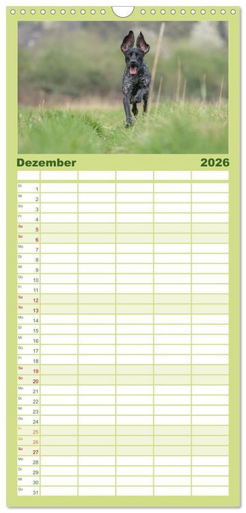 Produktbild: Familienplaner 2026 - Jagdhunde bei der Arbeit mit 5 Spalten (Wandkalender, 21 x 45 cm) CALVENDO