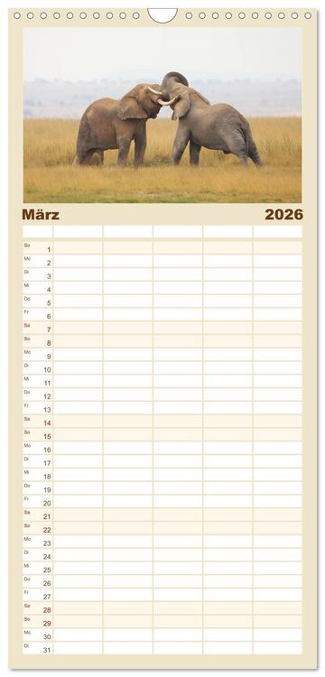 Produktbild: Familienplaner 2026 - Kenias wilde Elefanten mit 5 Spalten (Wandkalender, 21 x 45 cm) CALVENDO