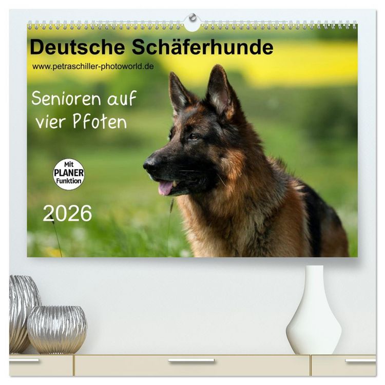 Produktbild: Deutsche Sch&auml;ferhunde - Senioren auf vier Pfoten (hochwertiger Premium Wandkalender 2026 DIN A2 quer), Kunstdruck in Hochglanz